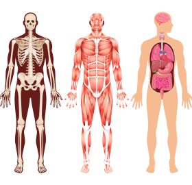 diferencias físicas persona autista