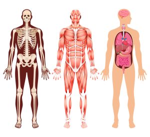 diferencias físicas persona autista